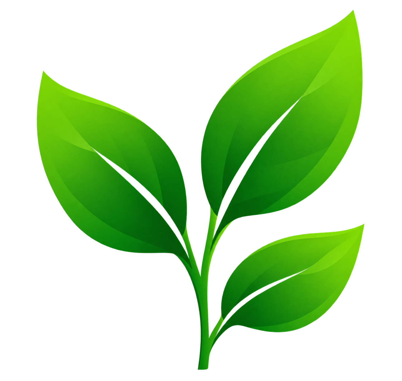 Empower Leaf